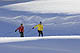 Cross-country skiing on the high plateau